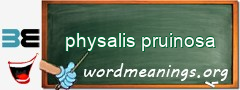 WordMeaning blackboard for physalis pruinosa